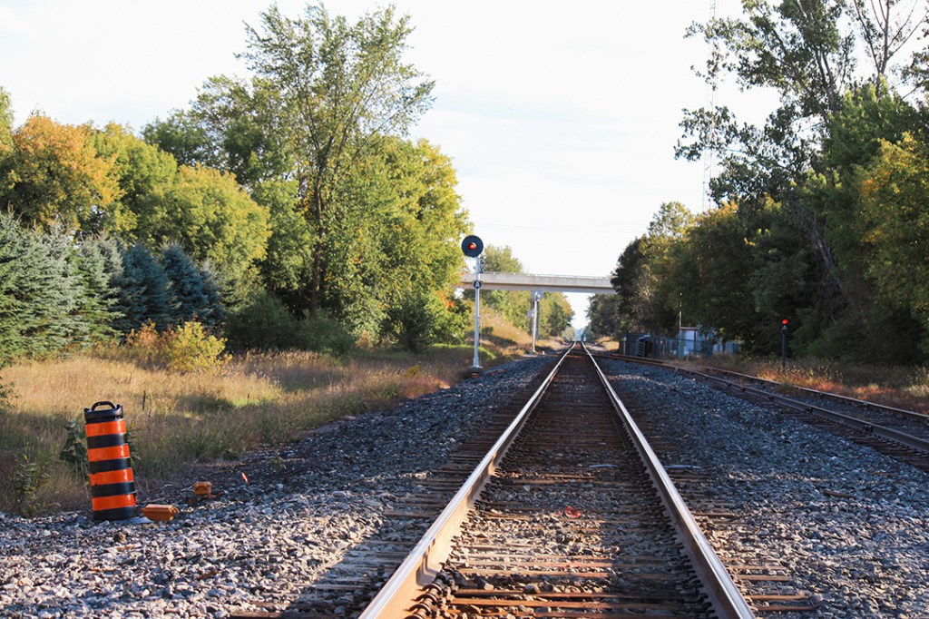 Railroad tracks on Sunnidale Road extending into the distance with a signal light glowing red, flanked on both sides by trees in early autumn foliage. The main set of tracks are centered in the image, from the bottom of the picture disappearing into the centre of the image. A segment of a simple bridge that spans the tracks is in the middle of the image, over the vanishing point of the main tracks. A side track comes into the right of the image, curving gently and joining the main track just before the main track vanish.